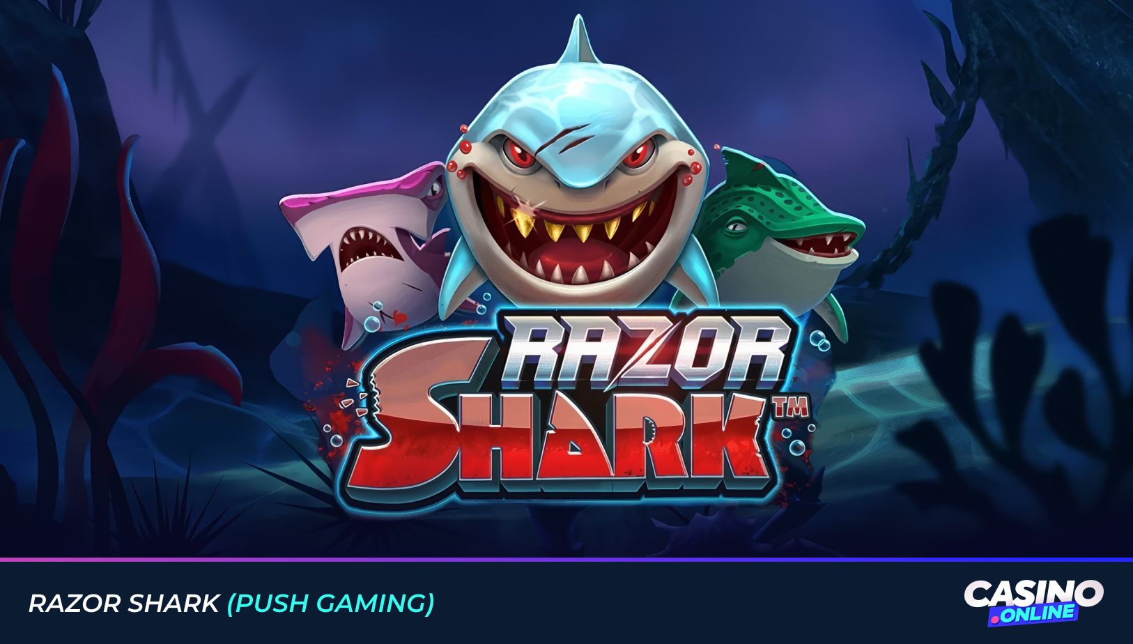 Razor Shark 
